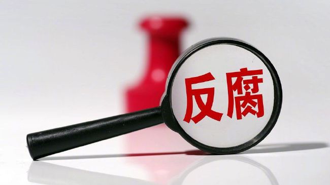 我哥哥的女友
