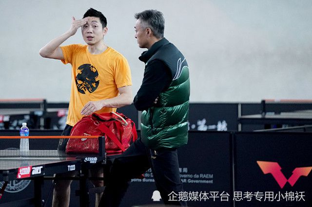 成人短视频在线观看免费