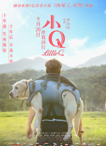 黑人成人
